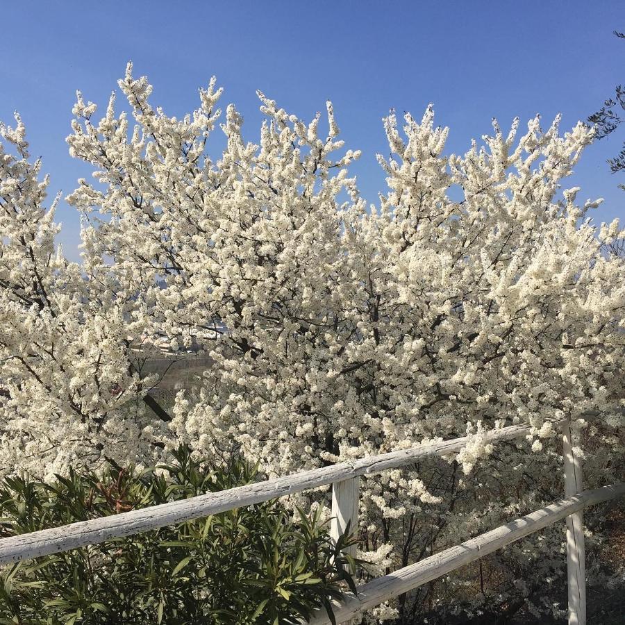 Relais Il Pigno ξενώνας Affi Εξωτερικό φωτογραφία