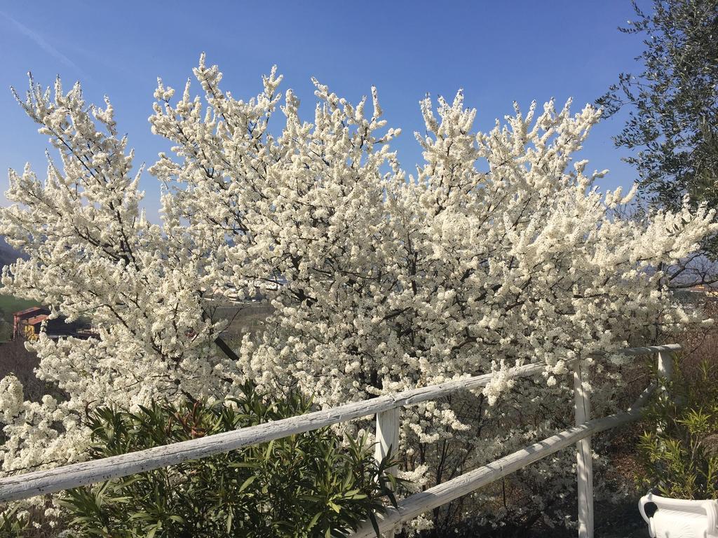 Relais Il Pigno ξενώνας Affi Εξωτερικό φωτογραφία